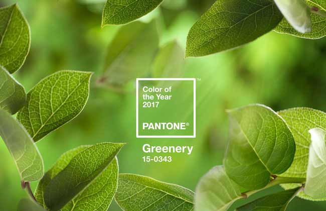 Couleur principale vert pantone 2026