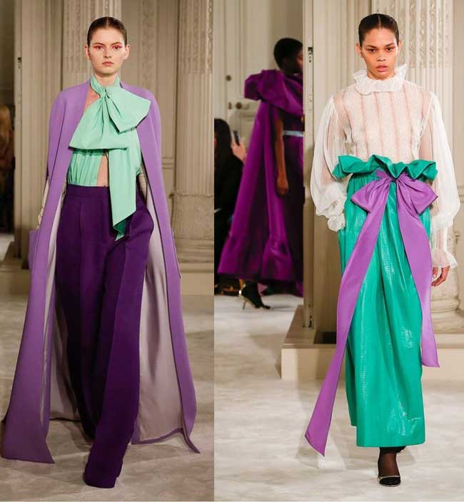 Crocus de printemps 2026