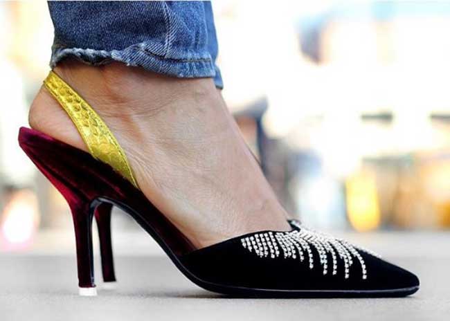 Collines des chatons