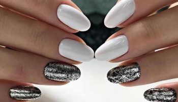 N/B et frottement de toile d'araignée