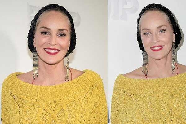 Image de Sharon Stone 2026