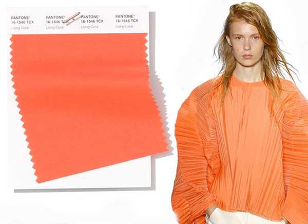 Avec quelles couleurs le corail va-t-il, photo