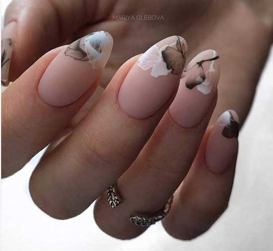 Soucis pointus 2025-2026 photo