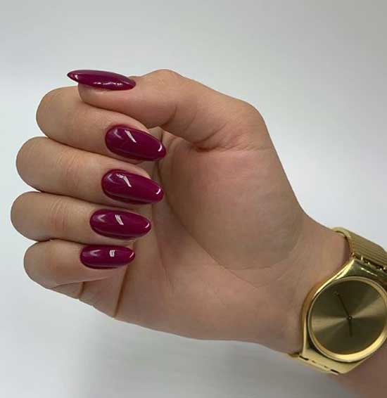 Manucure sombre élégante 2026