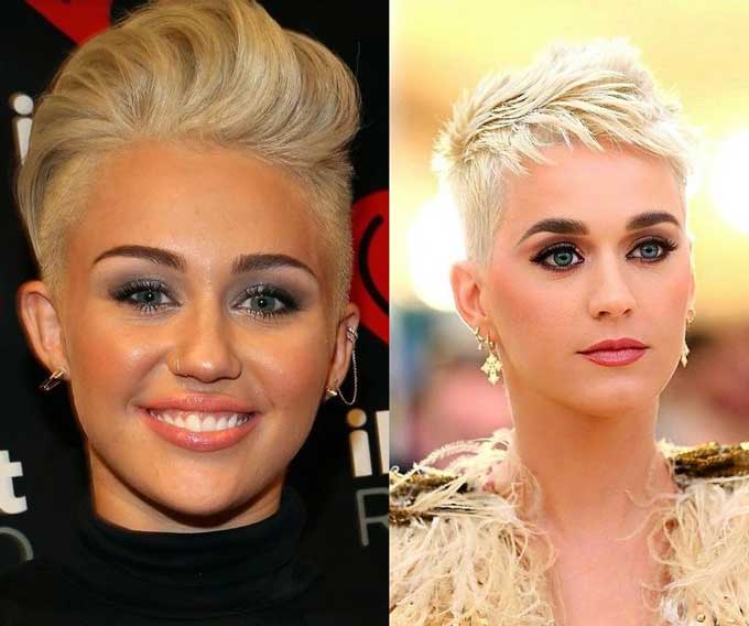 Whisky aux cheveux courts de célébrité rasé