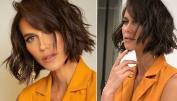 Exemples de curseur gradué