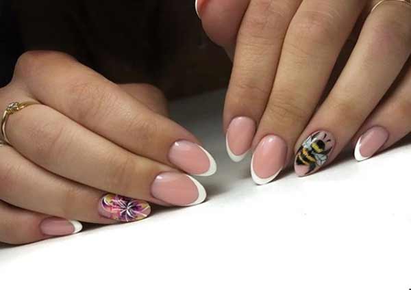 Français avec photos