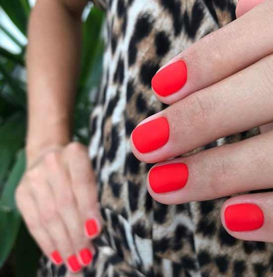 Ongles courts manucure écarlate