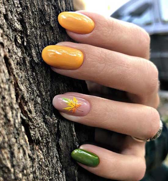 Feuille d'automne sur fond transparent