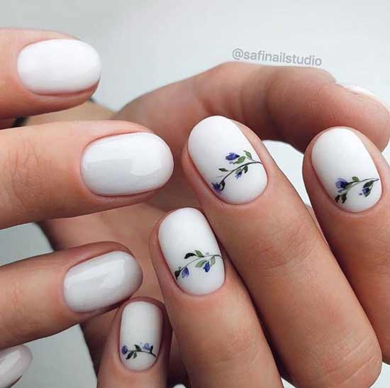 Fleurs sur fond blanc