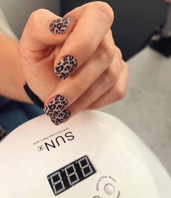 Design pour les ongles courts 2026: nouvelle manucure, idées de photo