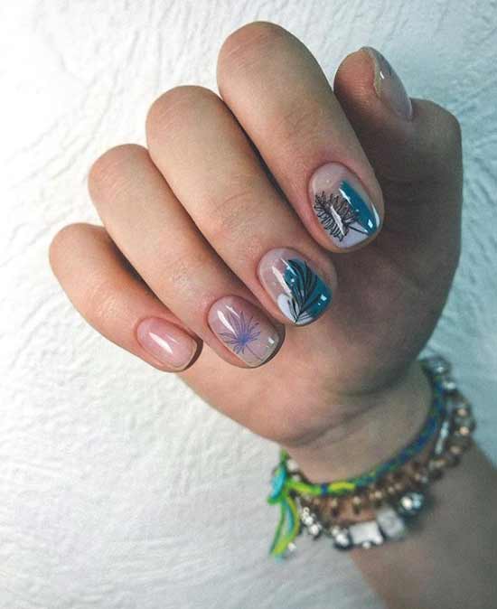 Soucis d'automne courts