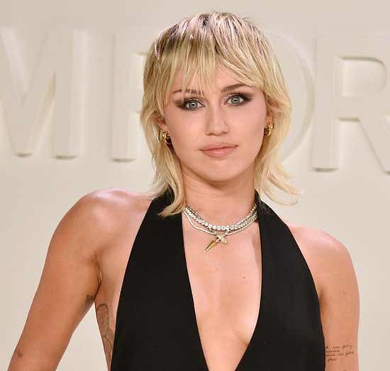 Style de coupe de cheveux maillet