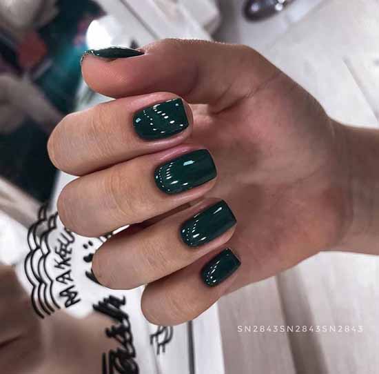 Manucure verte 2026: photo de nouveaux articles avec les meilleurs designs d'ongles