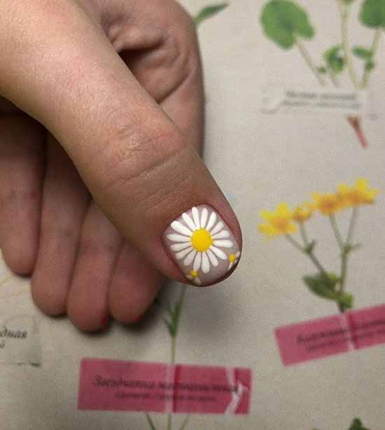 Manucure à la camomille