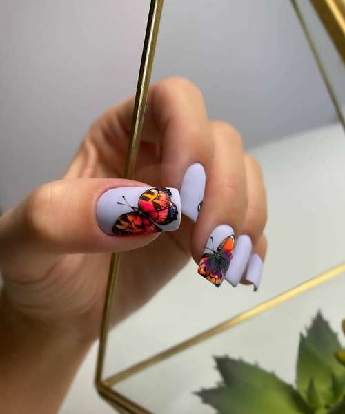 Manucure papillon 2026: nouvelles photos de conception