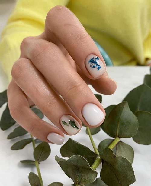 Manucure avec un motif pour les ongles courts: tendances 2026, photos
