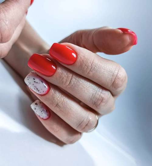 Dégradé laiteux sur les ongles : manucure tendance 2026, photo