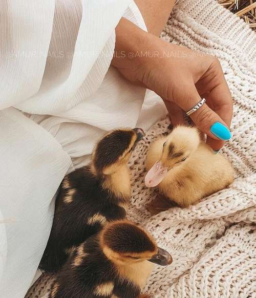 Manucure turquoise 2025-2026: une photo de nouvelles idées, un aperçu des tendances