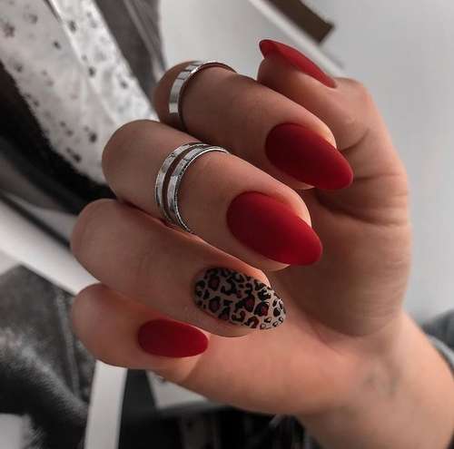 Manucure ultra tendance avec imprimé animal : nouveautés 2026, photos