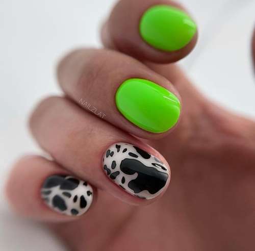 Manucure ultra tendance avec imprimé animal : nouveautés 2026, photos