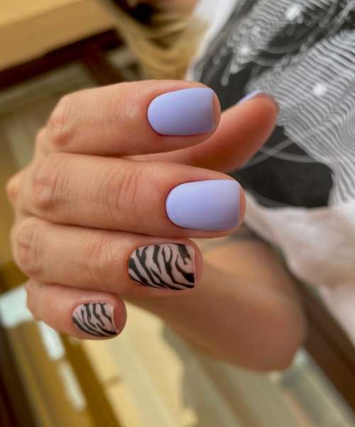 Manucure Zebra 2026: photo, nouveau design spectaculaire