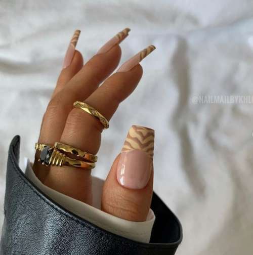 Français sous le zèbre