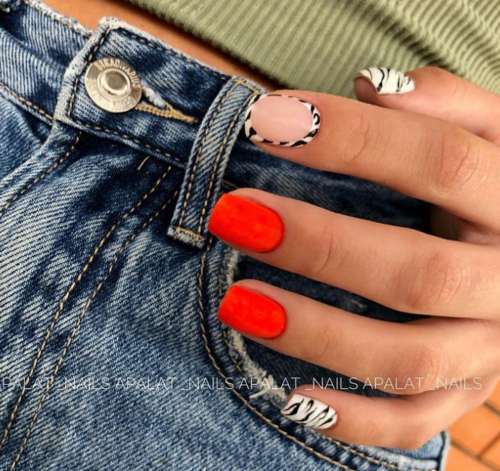 Manucure Zebra 2026: photo, nouveau design spectaculaire