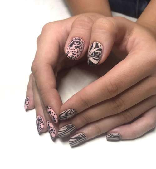 Manucure Zebra 2026: photo, nouveau design spectaculaire