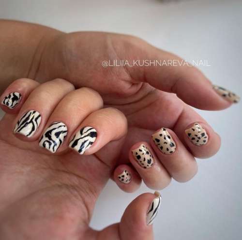 Manucure Zebra 2026: photo, nouveau design spectaculaire