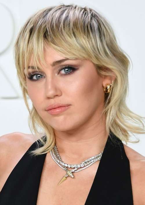 Coupe de cheveux hirsute