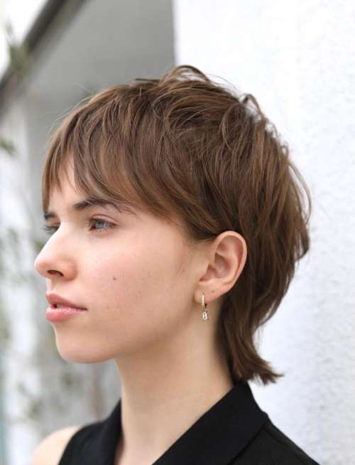 Coupe de cheveux Mallet 2026 : de nouvelles photos pour différentes longueurs de cheveux