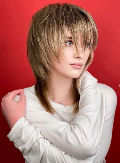 Coupe de cheveux Mallet 2026 : de nouvelles photos pour différentes longueurs de cheveux