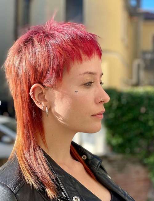 Coupe de cheveux Mallet 2026 : de nouvelles photos pour différentes longueurs de cheveux