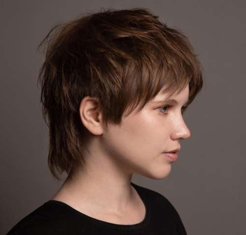 Coupe de cheveux Mallet 2026 : de nouvelles photos pour différentes longueurs de cheveux