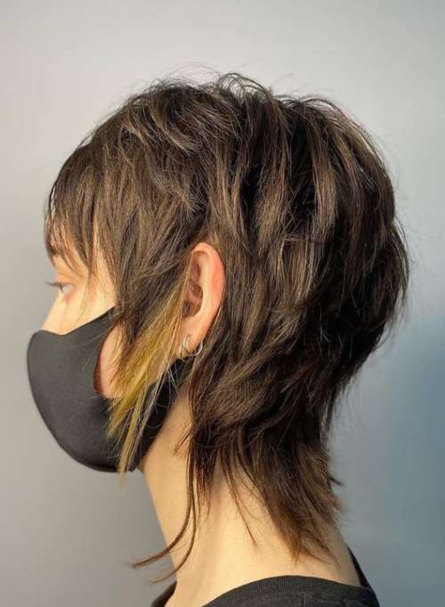 Coupe de cheveux Mallet 2026 : de nouvelles photos pour différentes longueurs de cheveux