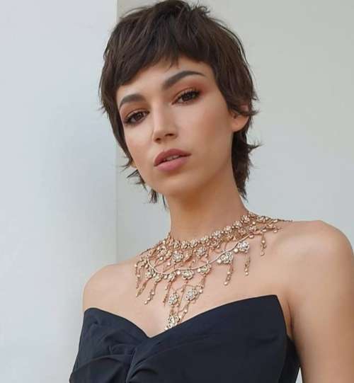 Coupe de cheveux Mallet 2026 : de nouvelles photos pour différentes longueurs de cheveux