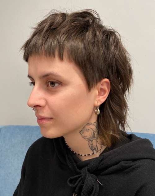 Coupe de cheveux Mallet 2026 : de nouvelles photos pour différentes longueurs de cheveux